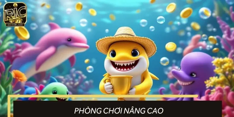 Phòng chơi nâng cao được nhiều ngư thủ lựa chọn