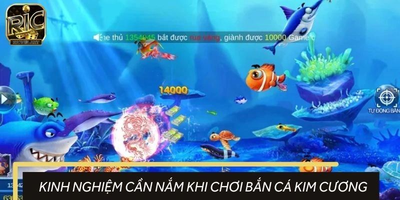 Chiến lược chinh phục hình thức bắn cá kim cương