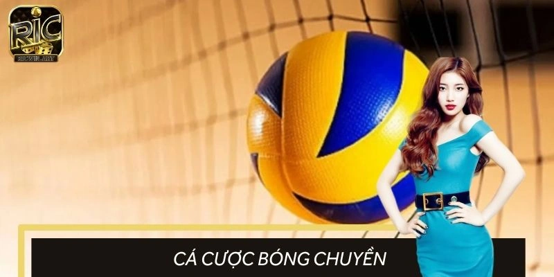 Cá Cược Bóng Chuyền Tại RICWIN - Gia Tăng Tỷ Lệ Thắng