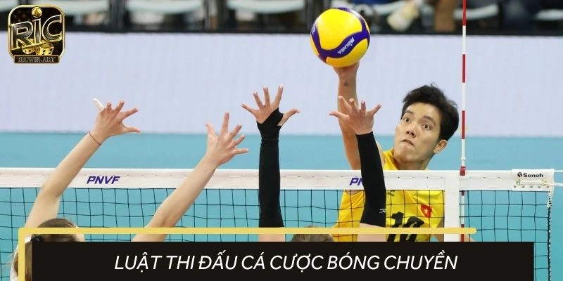 Luật tham gia dự đoán bóng chuyền cần nắm