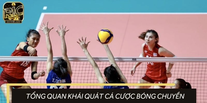 Tổng quan về hình thức dự đoán bóng chuyền