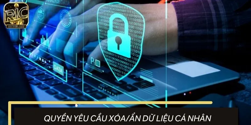 Người chơi có quyền yêu cầu xóa hoặc tạm ẩn dữ liệu cá nhân