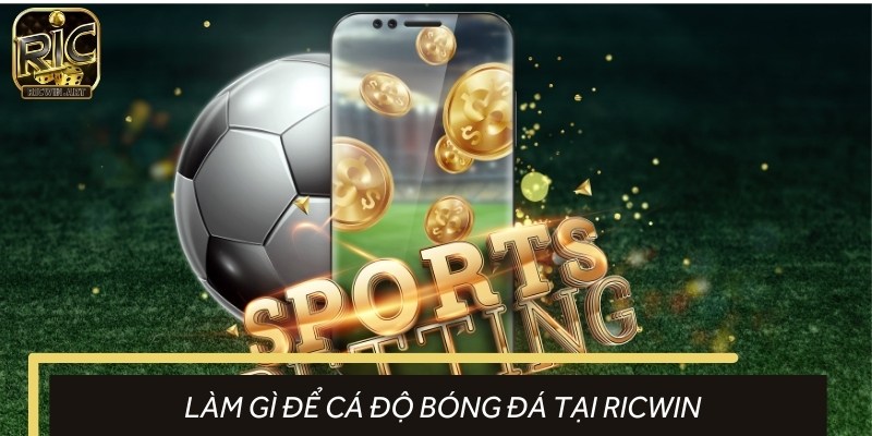 Kinh nghiệm nhập môn cá độ thể thao vua ở RICWIN