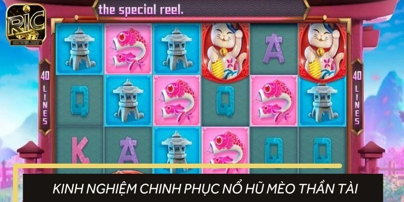 Chiến lược chinh phục nổ hũ mèo thần tài hiệu quả hơn