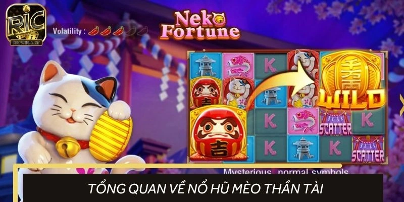 Tổng quan về hình thức slot mèo may mắn